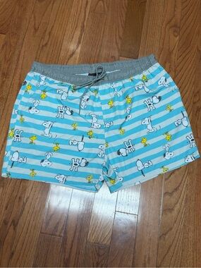 Peanuts Blue White Stripes Snoopy & Woodstock Mens Board Shorts Swim Trunks 3XL